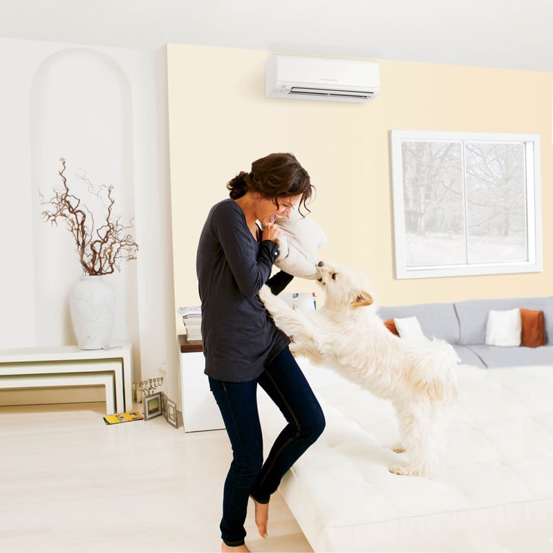 Ductless Woman With Dog