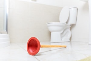 Why are both my toilets backing up? Ocean City, NJ Plumbing Problems