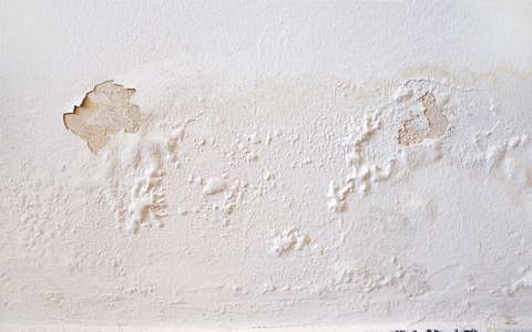paint damage from leaking water pipe in south jersey