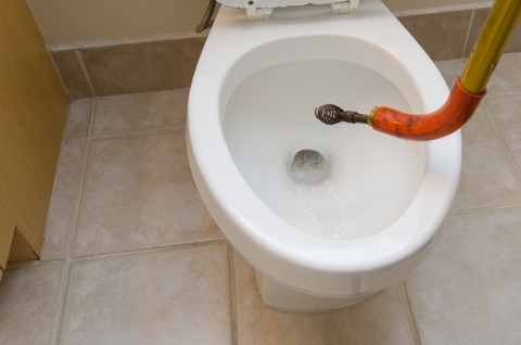 Clogged Toilets Bathtubs & Showers